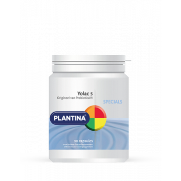 Plantina Yolac 5
